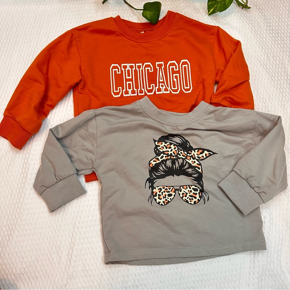 Toddler sweatshirts 2pcs 2T